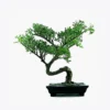 product image 2 optimized
