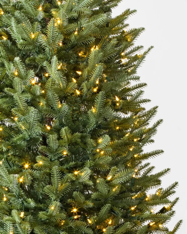 vermont white spruce® trees – available in 5.5 ft & 6.5 ft vermont white spruce® trees – available in 5.5 ft & 6.5 ft