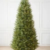 BH Balsam Fir® Trees 2