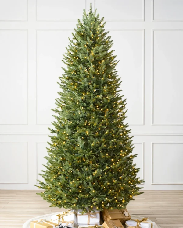 auto draft BH Balsam Fir® Trees 2