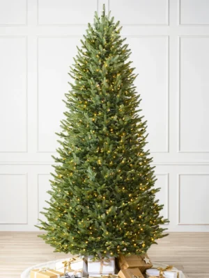 BH Balsam Fir® Trees