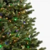 bh fraser fir® trees – available in 5.5 ft & 6.5 ft