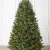 bh fraser fir® trees – available in 5.5 ft & 6.5 ft