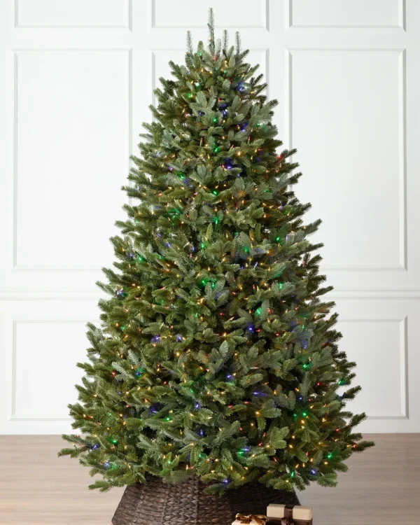 bh fraser fir® trees – available in 5.5 ft & 6.5 ft bh fraser fir® trees – available in 5.5 ft & 6.5 ft