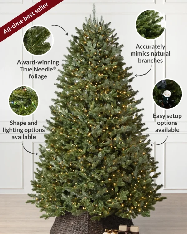 bh fraser fir® trees – available in 5.5 ft & 6.5 ft bh fraser fir® trees – available in 5.5 ft & 6.5 ft