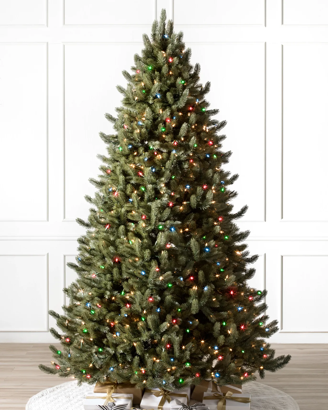 Vermont White Spruce
